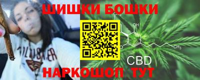 СК Рязань